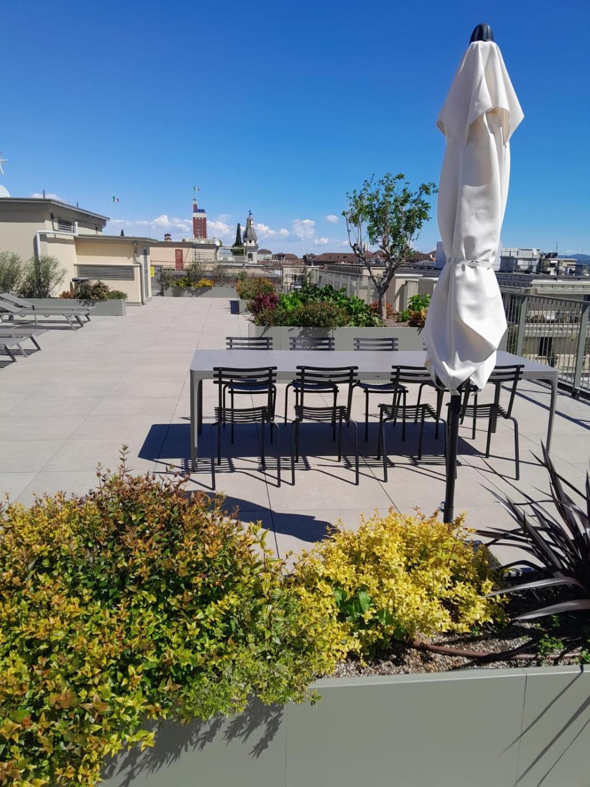 The Peacock Apartament